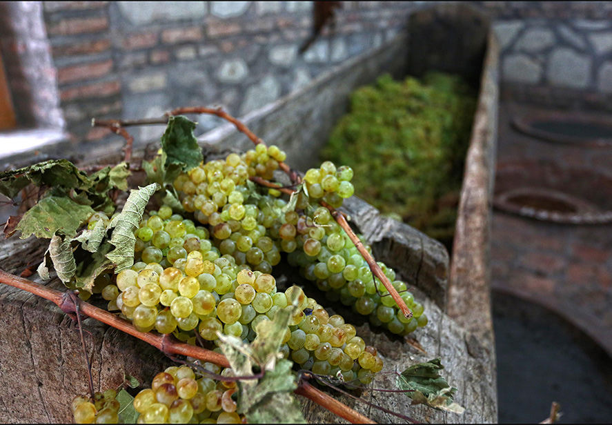Georgia, homeland of wine